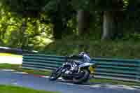 cadwell-no-limits-trackday;cadwell-park;cadwell-park-photographs;cadwell-trackday-photographs;enduro-digital-images;event-digital-images;eventdigitalimages;no-limits-trackdays;peter-wileman-photography;racing-digital-images;trackday-digital-images;trackday-photos